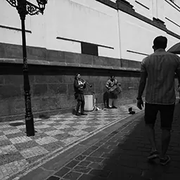 Toy Musicians