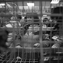 Constrained by Choice